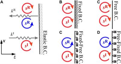 Boundary Reflections of Rolling Waves in Cubic Anisotropic Material